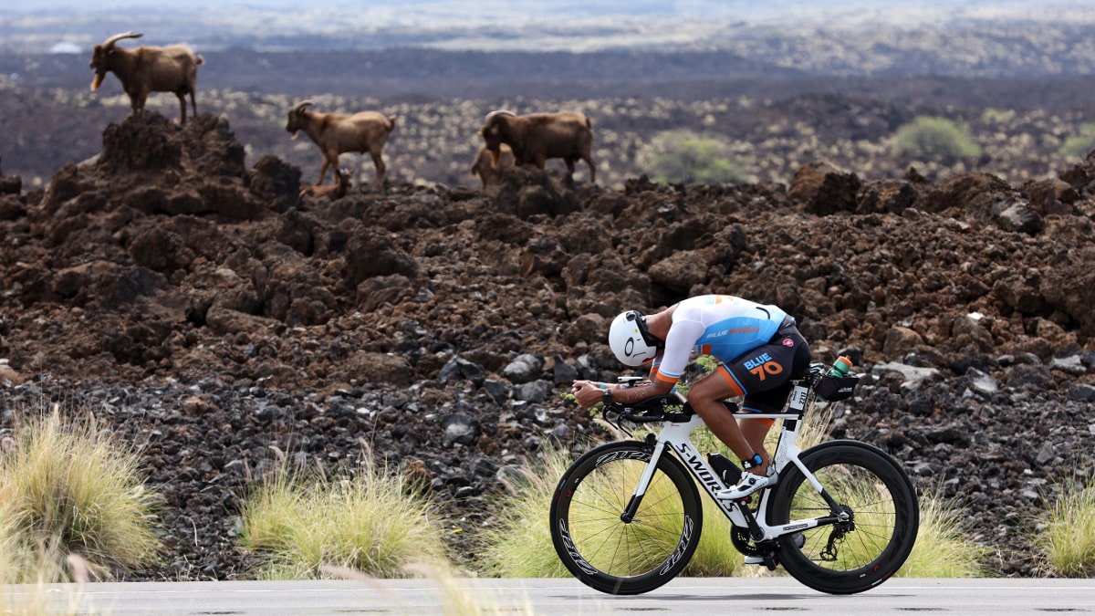 Cyclist in race gear rides past rocky terrain with goats in the background